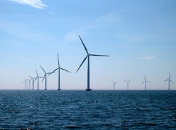 The Nysted wind farm off Denmark. Image: Cape Wind Assoc.