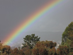 Rainbow following late spring rains in Vallejo. Photo: Craig Miller