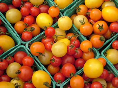 jc1767 montpelier vt vermont farmers market tomatoes