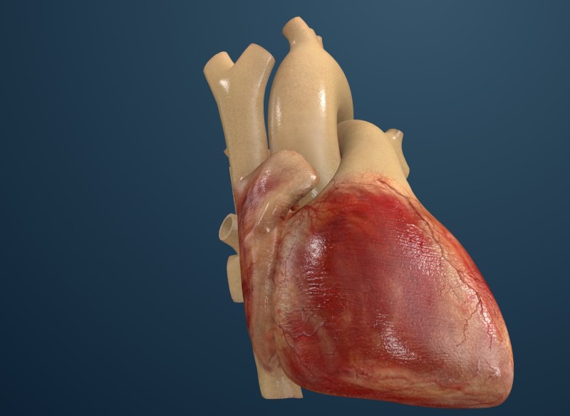Dassault has developed a digital model of a human heart