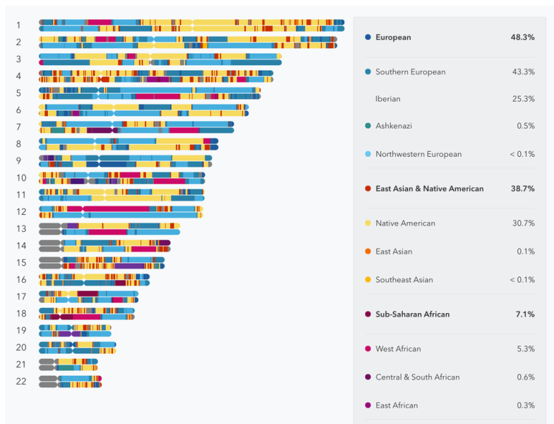 The new test offers colorful reports about your ancestry and family history.