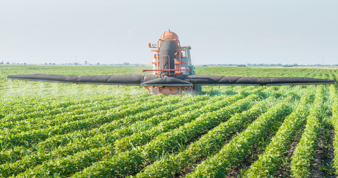 The U.S. Department of Agriculture said in a 2014 bulletin that in 2008, corn, soybeans, cotton, wheat, and potatoes accounted for about 80 percent of the pesticide use. The USDA examined pesticides use on 21 major crops.