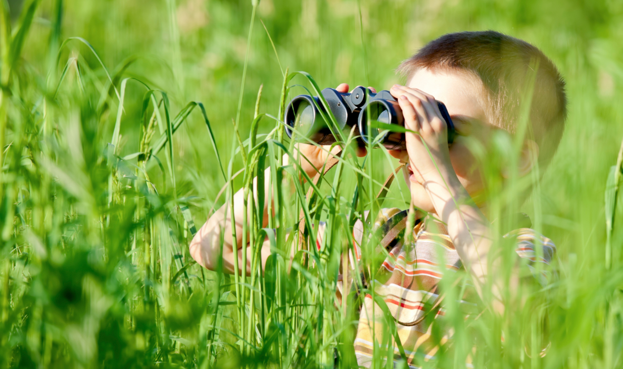 10 Awesome Outdoor Summer Learning Ideas