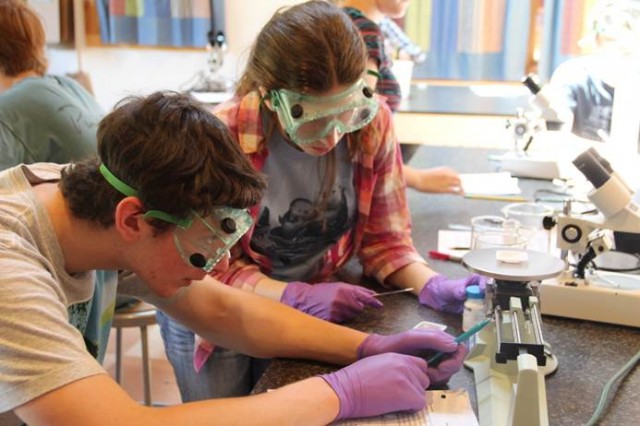 Students participate in chemistry lab at Open Connections. (Courtesy Peter Bergson)