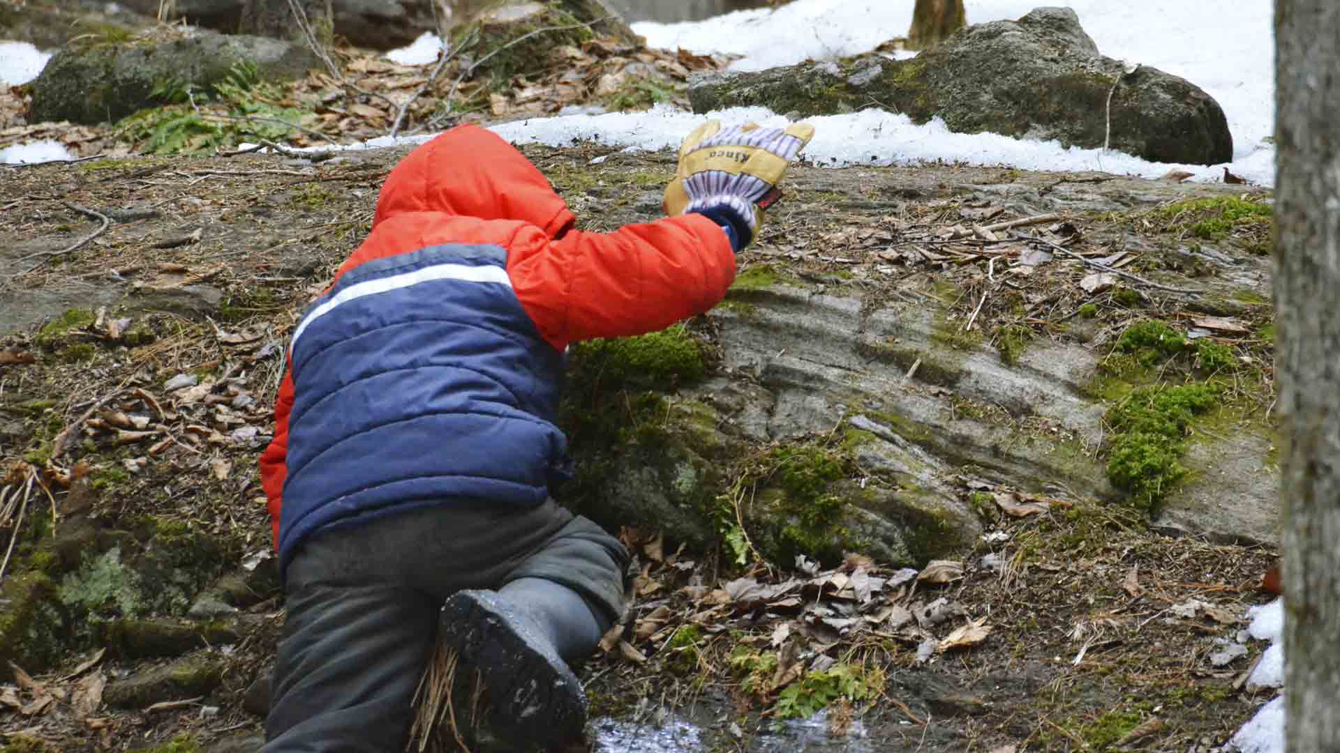 A boy climbs to his “sit spot.” Every Forest Monday begins with kindergartners spending 10 minutes sitting quietly alone in designated spots in the woods.  