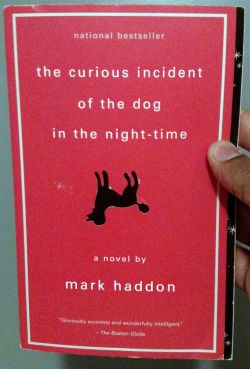 The curious incident