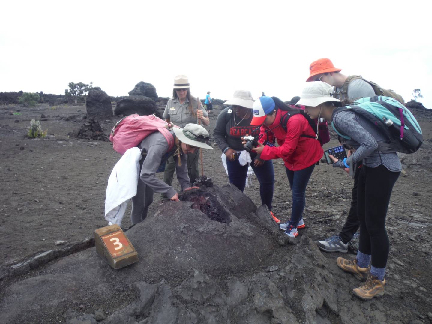 Juniors and seniors on a field study of the geology and culture of a volcanic island in Hawaii. Students look into a mound that formed around a living tree that the lava killed.