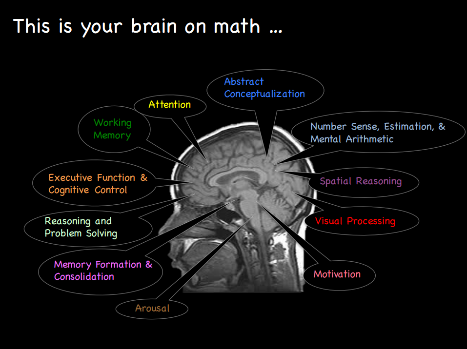 The various regions of the brain recruited when learning fractions.