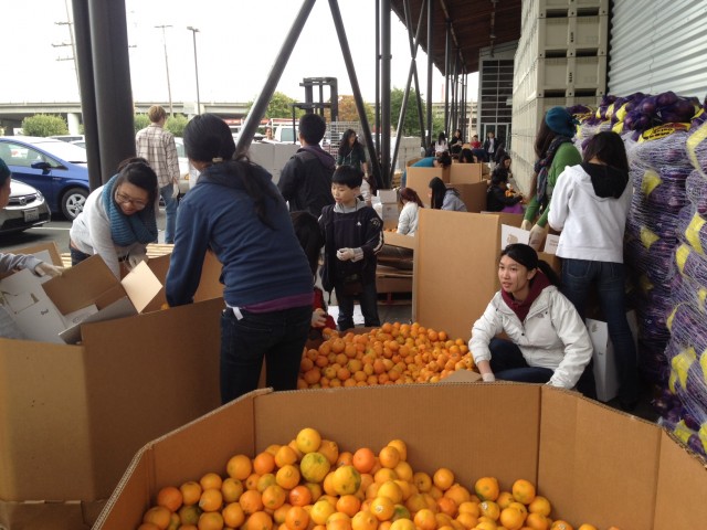 Fresh oranges at the Food Bank. (Kelly Wilkinson / KQED)