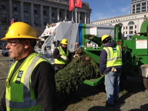 Where to recycle Bay Area Christmas trees