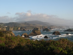 The Mendocino Park District sold only 21 annual passes last year. (Craig Miller/KQED)