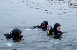 Researchers catalog marine life in the kelp forest off Monterey in 2008. (Photo: KQED QUEST)