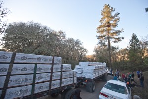 A big-rig piled with wood for a fence around the construction site arrived on Feb. 28. (Deborah Svoboda/KQED)