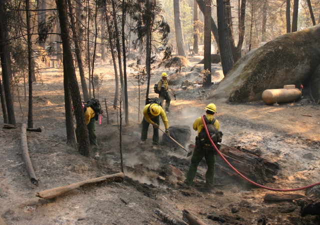 The Rim Fire has consumed more than 237,341 acres and is 80 percent contained. (Grace Rubenstein / KQED)