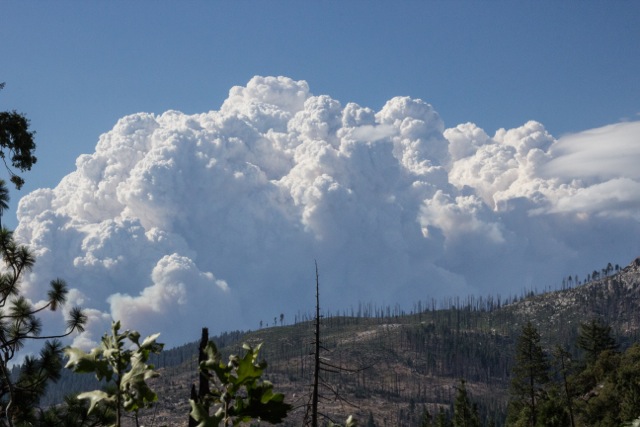 Smoke from the Rim Fire rises above a ridge in Yosemite National Park on Wednesday, Aug. 21. The view is across an area of the park that burned several years ago. (Dan Brekke/KQED)