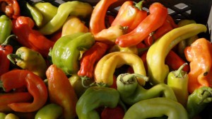 Major  grocery chains don't want peppers that show imperfections. (Scott Anger/KQED)