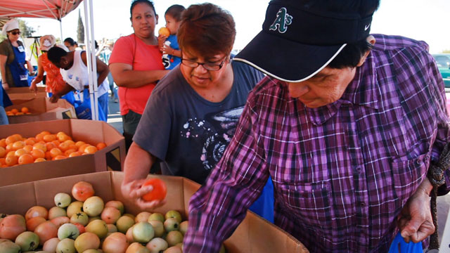 Residents of the San Joaquin Valley town of Pixley pick out fresh fruits and vegetables during a food distribution by FoodLink of Tulare. (Scott Anger/KQED)