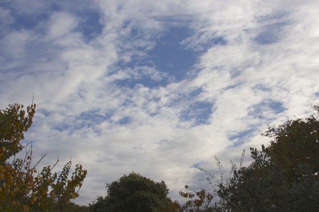 Over the Bay Area this morning: Nice clouds, but barely any rain. (Dan Brekke/KQED)