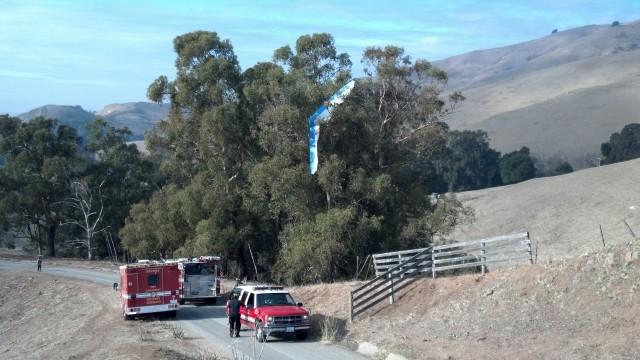 A glider hangs in a tree in Ed Levin County Park in Milpitas. Local firefighters called on the California Highway Patrol to rescue the pilot from trees that couldn't be reached by aerial ladders (Photo: California Highway Patrol)