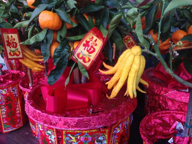 Buddha's hand and other citrus fruits could be found all over San Francisco's Chinatown on Jan. 30, the eve of the Lunar New Year. (Patricia Yollin/KQED)