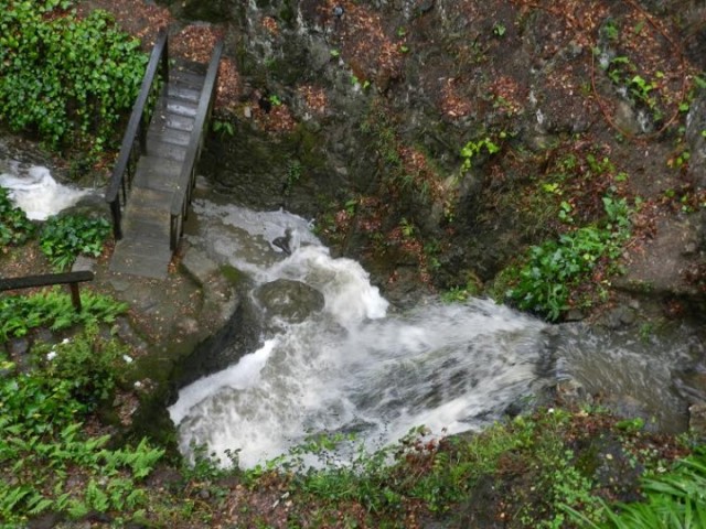 A gushing Vicente Creek. (Andy Fremder/Berkeleyside)