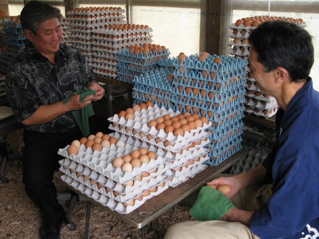 Famed Hawaii chef Alan Wong checks out some of Tadaaki Hachisu's eggs in Japan. (Photo by Dan Nakasone) 