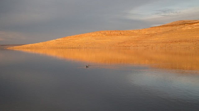 Low water levels in San Luis Reservoir, on western edge of San Joaquin Valley, in February 2014. (Josh Cassidy/KQED)