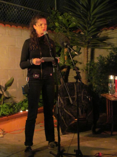 San Francisco artist and activist LisaRuth Elliott tells her eviction horror story at an event in the Mission. (Stepha