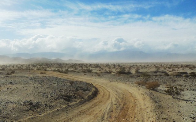  A dry, windy afternoon in Anza-Borrego Desert State Park. (Lisa Morehouse/KQED)