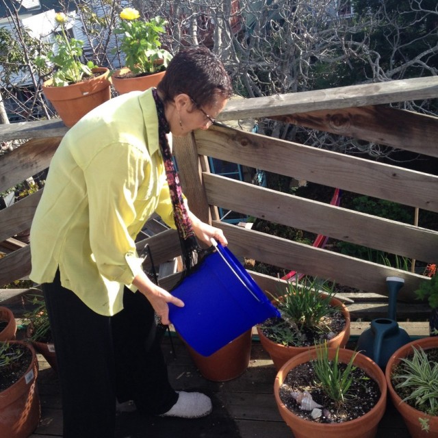 The back porch pots are filled with plants that flower year-round, like the society garlic my housemate likes to pick to put in his grandmother's sherry glasses. (Buck Bagot/KQED)
