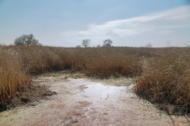 A dry stretch of the San Joaquin River near Los Banos. (Josh Cassidy/KQED)