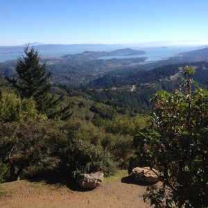 A sweeping view of the bay is visible from the Old Railroad Grade, near Mesa Station. (Grace Rubenstein/KQED)