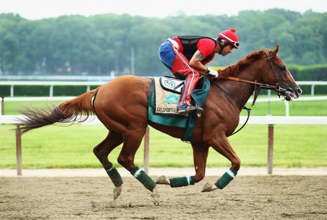 California Chrome, with exercise rider Willie Delgado up, at Belmont Park. (Al Bello/Getty Images)