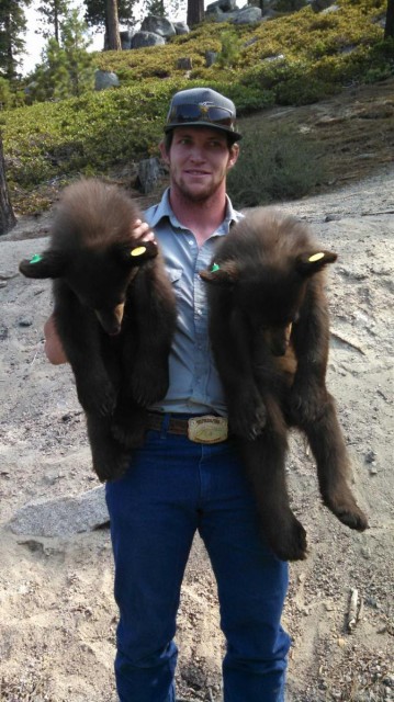 Nevada Department of Wildlife Conservation Aide Cooper Munson holds two of three black bear cubs captured and safely released on Wednesday. (Photo courtesy of NDOW)