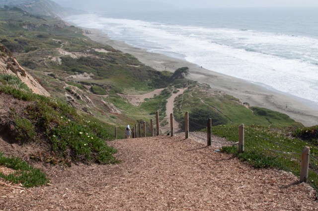 The trails at Fort Funston are a favorite among dog owners. (Miroslav Zdrale/Flickr)