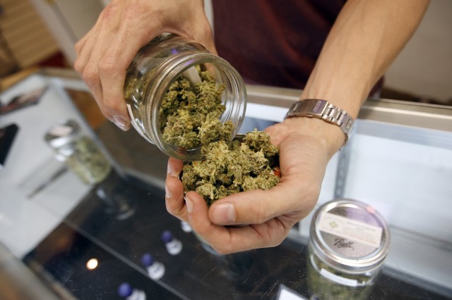 A budtender pours marijuana from a jar at Perennial Holistic Wellness Center medical marijuana dispensary in Los Angeles, California. ( David McNew/Getty Images)