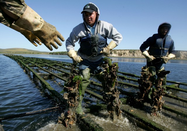 Oyster Fisherman Battles National Park Service Over Harvest Rights