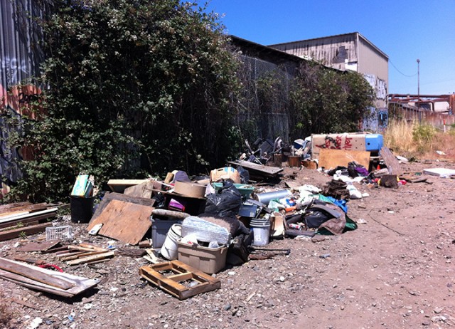 What looks like trash has accumulated in large piles along the railway in West Berkeley. (Berkeleyside)