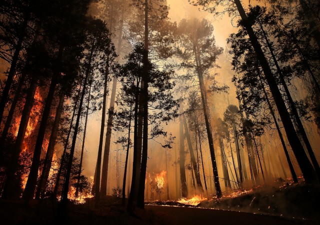 Rim Fire Continues To Burn Near Yosemite National Park