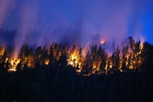 A night view of the Happy Camp Complex fire, burning in Klamath National Forest east of Crescent City. (U.S. Forest Service)