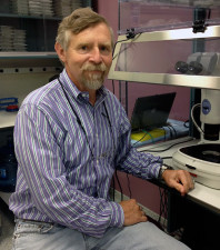 Dr. Dennis Clegg, founder and co-director of UC Santa Barbara's Center for Stem Cell Biology and Engineering. (Diane Bock/KQED)