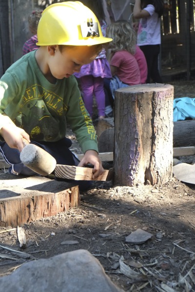 A 3-year-old conducts on experiment, testing his theory on which tools are best to strip bark off tree rounds. (Liana McCormick/Berkeley Forest School)