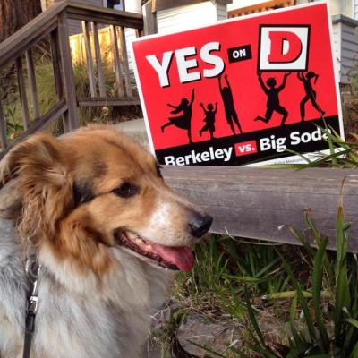 One of the many Yes on D lawn signs that were seen all over Berkeley in the run-up to the Nov. 4 election. (Courtesy: Berkeley vs Big Soda)