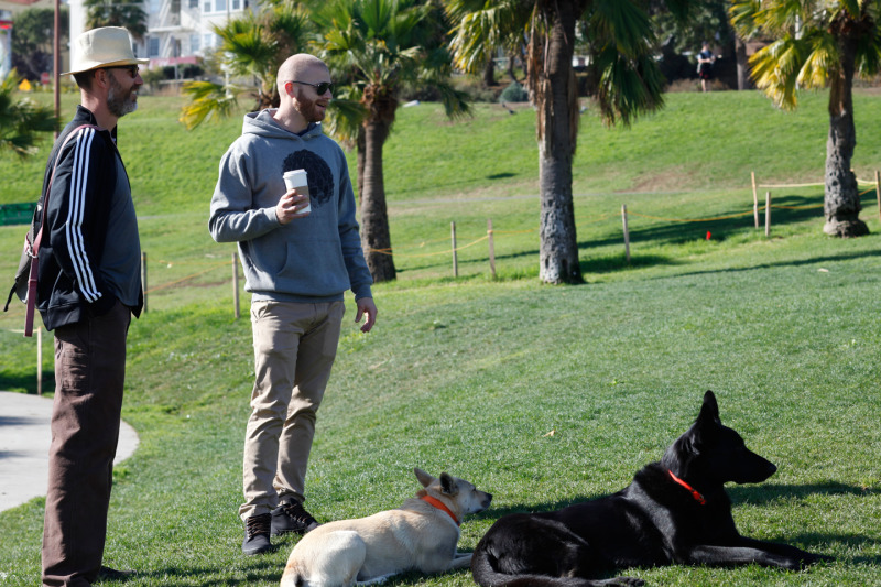 Grant Christopherson (Right), 33, and Robert Morris (Left), 41, play with their dogs Oliver and Ocho at Dolores Park. (Katie Brigham/KQED)