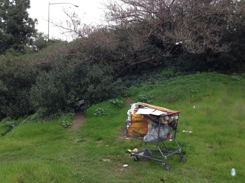 Where you see a shopping cart packed with possessions, there's probably a homeless person nearby, and probably an encampment. Behind this cart, back in the bushes, there are signs somebody is living in the greenery by a freeway off-ramp.