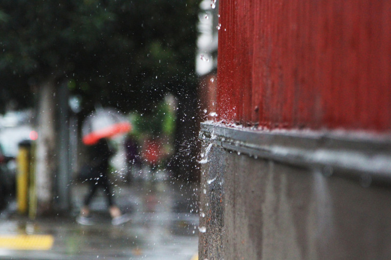 Rain began to fall Friday morning in San Francisco's Mission District. (Anya Schultz/KQED)