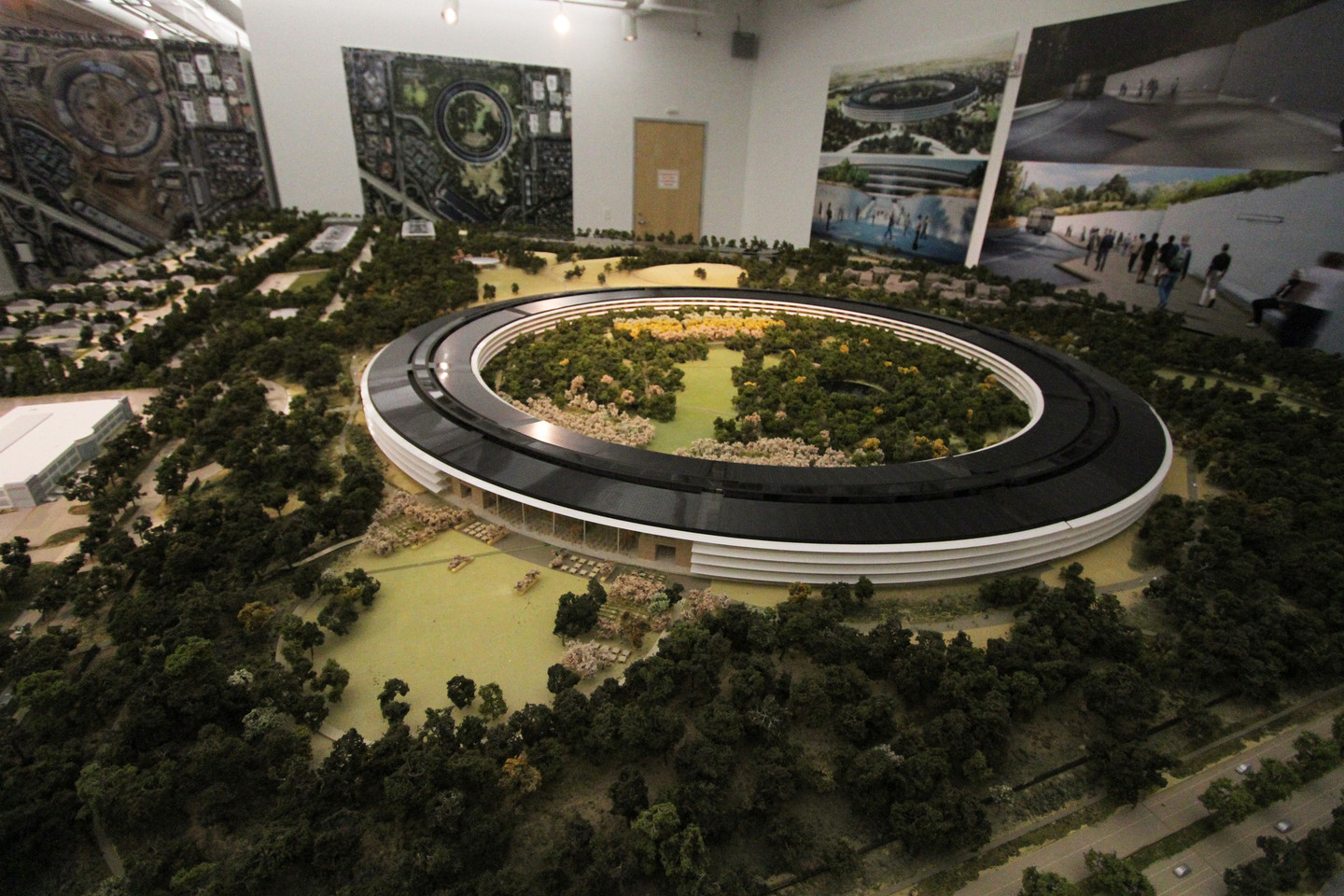 Apple has a room-size model of the new campus in a building on site of the construction zone. (Anya Schultz/KQED)
