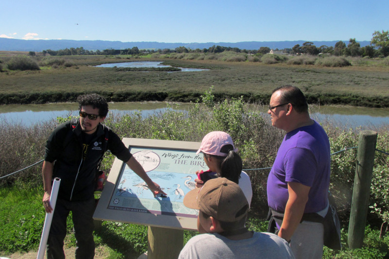 Translating a park sign into Spanish, Gonzalez points out a bird species commonly found in the Baylands.