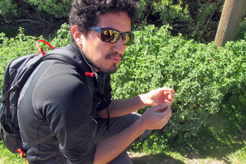 Crouching down next to a patch of mint, Jose Gonzalez encourages the group to sample the plant. 
