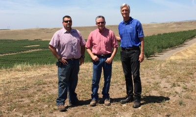 Ryon Paton, a principal with Trinitas Partners, right, with the managers of the firm's almond operation, Dan Kaiser, left, and Dave Germano, center.